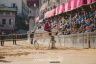 Palio Straordinario: la fotogallery della seconda prova
